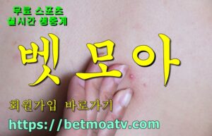 벳모아, 무료 스포츠 중계, 고화질 스포츠 중계, 실시간 스포츠 중계, 꽁머니