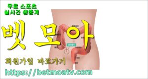 벳모아, 무료 스포츠 중계, 고화질 스포츠 중계, 실시간 스포츠 중계, 꽁머니