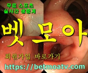 벳모아, 무료 스포츠 중계, 고화질 스포츠 중계, 실시간 스포츠 중계, 꽁머니