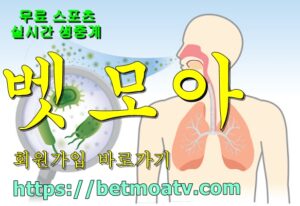 벳모아, 무료 스포츠 중계, 고화질 스포츠 중계, 실시간 스포츠 중계, 꽁머니