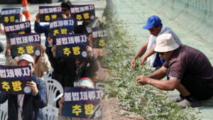 벳모아, 무료 스포츠 중계, 고화질 스포츠 중계, 실시간 스포츠 중계, 꽁머니