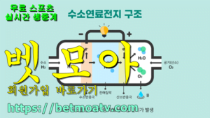 벳모아, 무료 스포츠 중계, 고화질 스포츠 중계, 실시간 스포츠 중계, 꽁머니